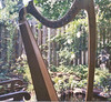 Abigail's harp in the garden 2001 ~ click to go to the Flickr photo page