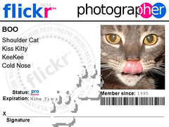 Boo's Flickr Badge