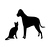 photos in Cats & Dogs
