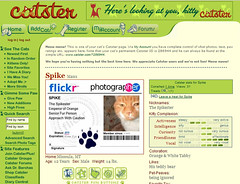 Spike at Catster