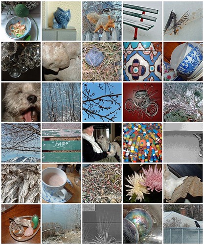 30 Days of Photos