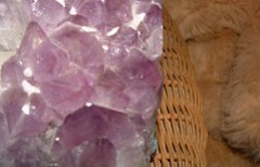 amethyst wicker fur