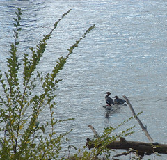 15 river couple