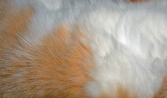 45 soft spike