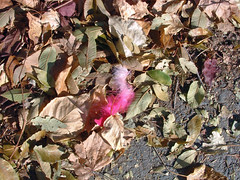 10 the day after halloween