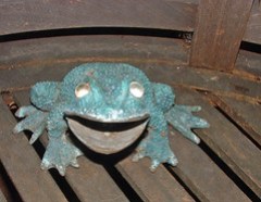 29 froggy