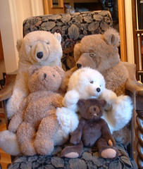 teddy bears