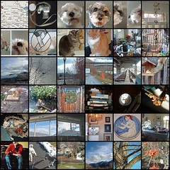 DayPix New Year 02006 Mosaic