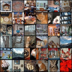 DayPix New Year 02006 Mosaic - page 2