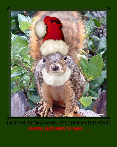 Have you been a good little human this year?