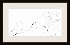 tabby cat sketch from photo