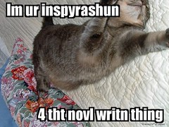 NaNoWriMo KittyBoo LOL Muse