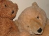 teddy bears