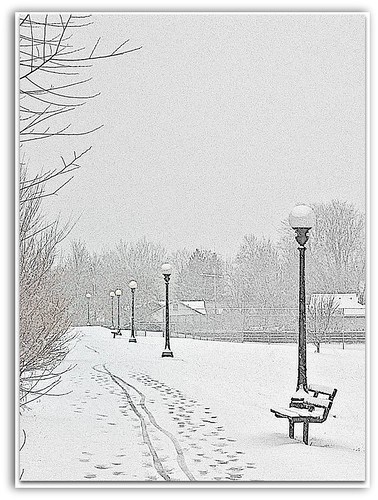 snowy winter scene