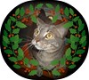 holly wreath boo
