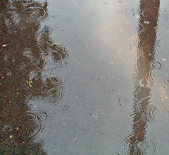 rain light reflection