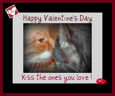 Happy Valentine's Day
