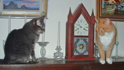 cats and clock