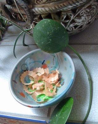 pencil shavings in italian bowl