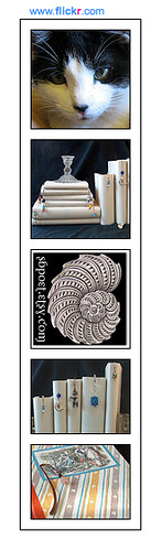 Flickr Blog Badge