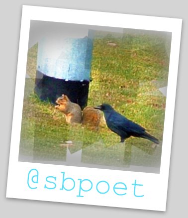 crow & squirrel