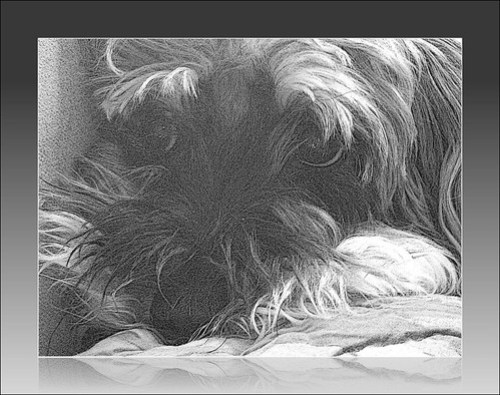 Lucy
