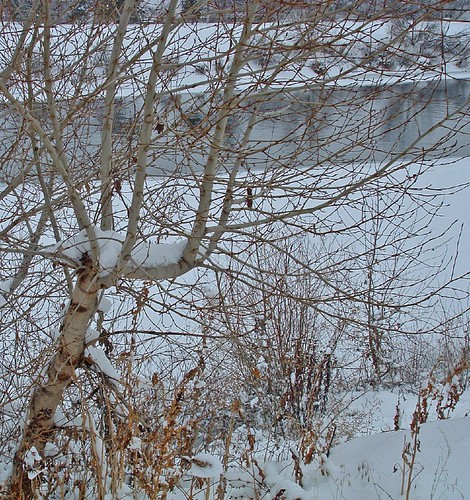 winter riverbank