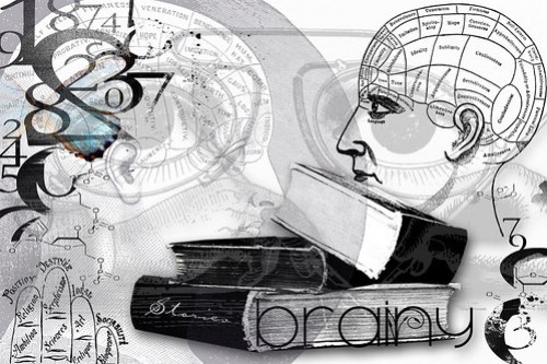 brainy | AJC {February 2011} The Adjective Project