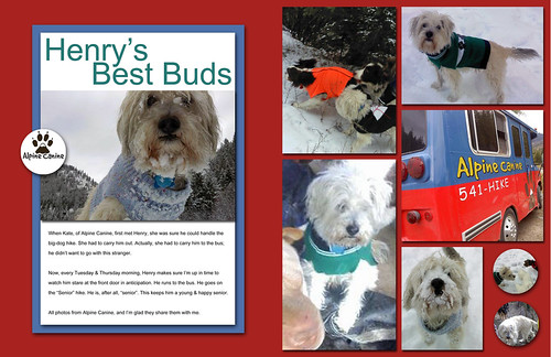 Henry's Best Buds - 2-Page LayOut