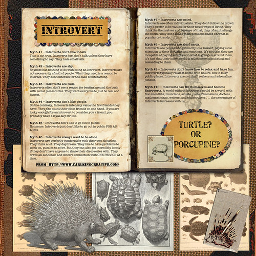 Introvert: Turtle or Porcupine?