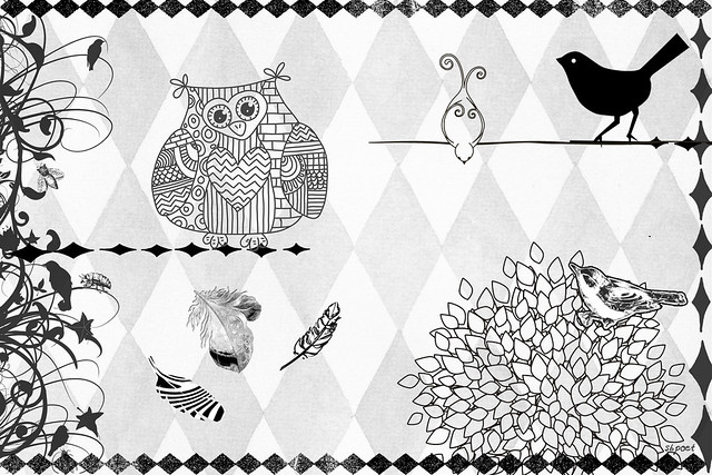 Harlequin Birds