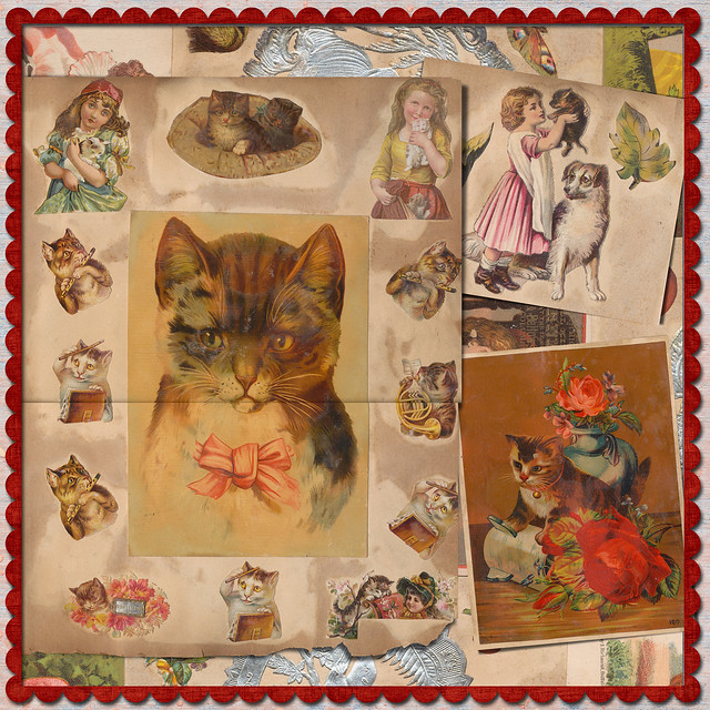 Victorian Friday Cat Blogging