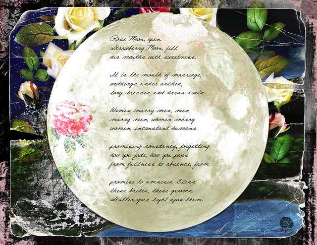 JUNE MOON