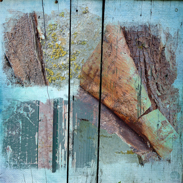 TEXTURE