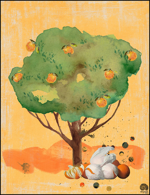 ORANGES