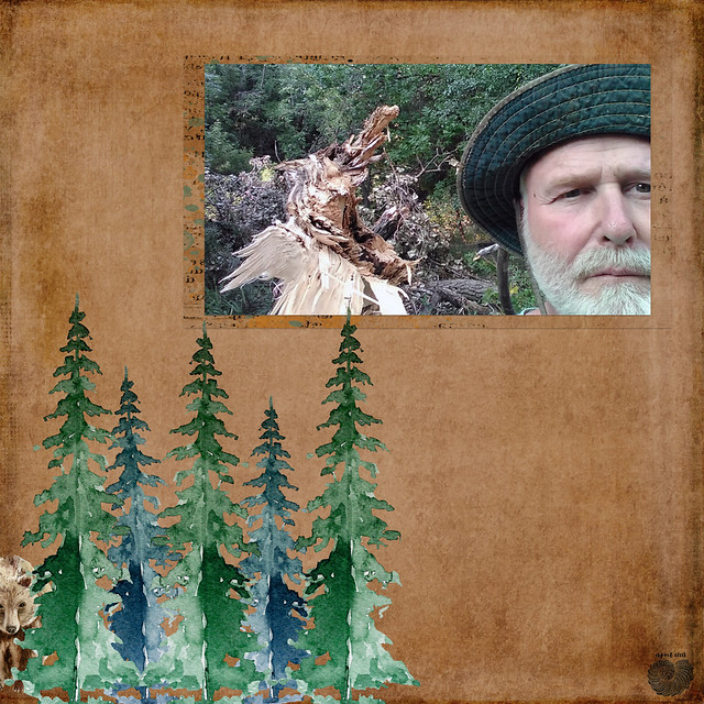 ALAN IN THE WOODS