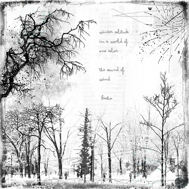 WINTER SOLITUDE
